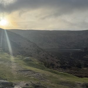IMG_0497 2
